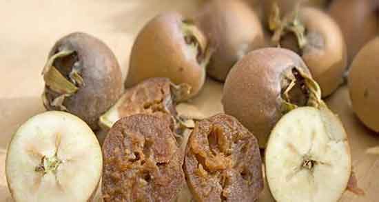 رب ازگیل برای چی استفاده میشه ؛ فواید استفاده از رب ازگیل برای مرغ