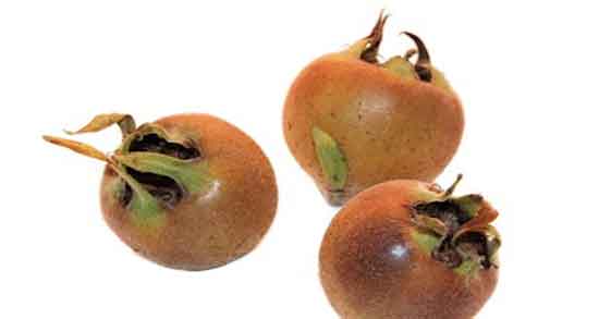 رب ازگیل چیست ؛ ایا رب ازگیل همان ترشی است + خاصیت رب ازگیل