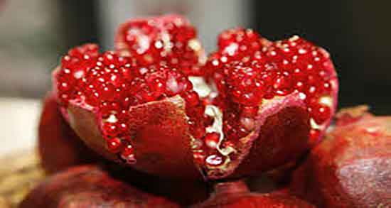 رب انار برای سگ ؛ مضرات دادن رب انار ترش برای حیوانات چیست