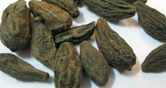 روش مصرف هل باد و نحوه صحیح استفاده از هل باد روش مصرف هل باد ؛ نحوه صحیح استفاده از هل باد