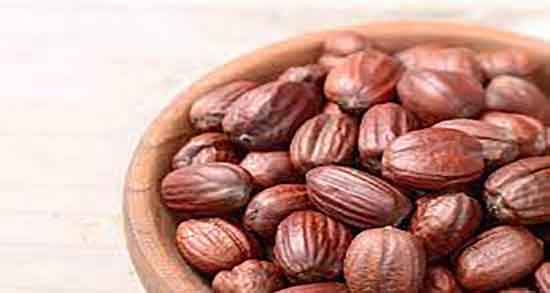 روغن جوجوبا یا آرگان ؛ کدام روغن برای پوست بهتر است ارگان یا جوجوبا