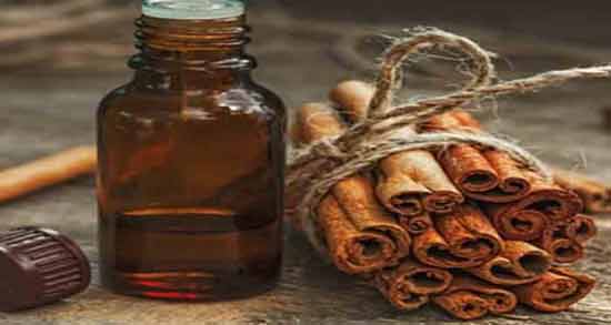 روغن دارچین برای لب و حجم دهی به لب با مصرف روغن دارچین روغن دارچین برای لب ؛ حجم دهی به لب با مصرف روغن دارچین