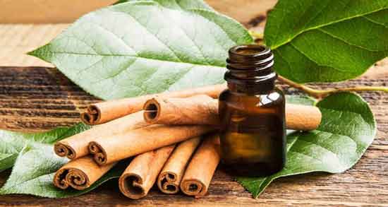 روغن دارچین برای واژن ؛ خواص و مضرات استفاده از روغن دارچین برای واژن