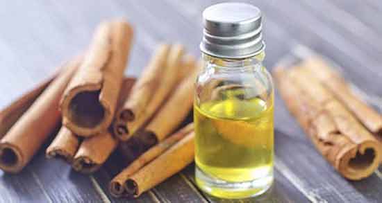 روغن دارچین و زنجبیل ؛ بررسی خاصیت دارویی مصرف روغن دارچین و زنجبیل