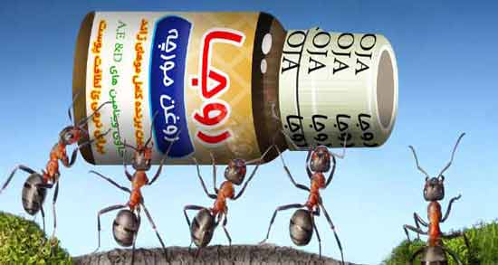 روغن مورچه روجا نی نی سایت ؛ خواص و مضرات استفاده از روغن مورچه روجا