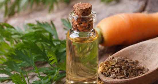روغن هویج برای مو ؛ خواص و مضرات مصرف روغن هویج برای مو