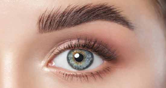 روغن پوست مرغ برای ابرو ؛ پر پشت کردن ابرو با استفاده از روغن پوست مرغ