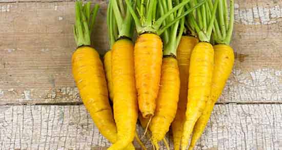 زردک در طب سنتی و خواص و مضرات زردک از دیدگاه طب سنتی زردک در طب سنتی ؛ خواص و مضرات زردک از دیدگاه طب سنتی