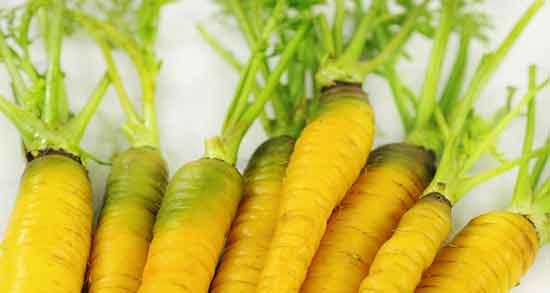 زردک و خواص آن ؛ همه چیز درباره مصرف زردک و خاصیت آن برای سلامتی