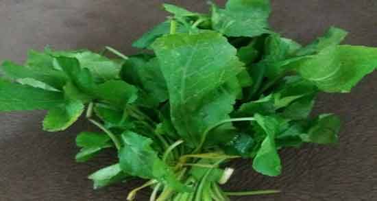 سبزی چوچاق را از کجا بخرم و از چه مکان هایی می توان سبزی چوچاق خرید؟ سبزی چوچاق را از کجا بخرم ؛ از چه مکان هایی می توان سبزی چوچاق خرید؟