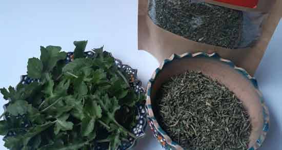 سبزی چوچاق و خالواش چیست ؛ آشنایی کامل با سبزی چوچاق و خالواش