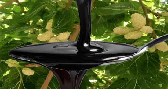 سه شیره در طب سنتی ؛ خاصیت مصرف سه شیره از نظر طب سنتی