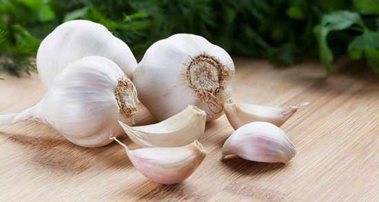 سیر و نارسایی کلیه ؛ فواید و مضرات خوردن سیر برای نارسایی کلیه