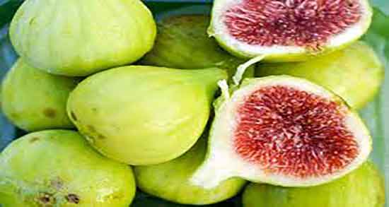 شربت انجیر برای نوزاد ۳ ماهه ؛ تاثیر دادن شربت انجیر برای نفخ شکم نوزادان