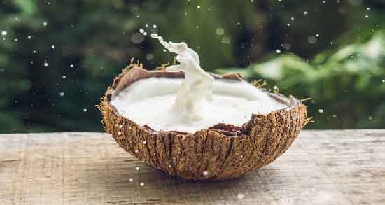 شیر نارگیل و کبد چرب ؛ آیا خوردن شیر نارگیل برای بیماری کبد چرب مفید است یا مضر؟