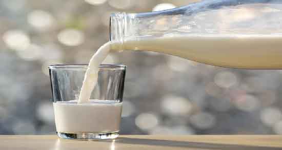 شیر گاومیش گرم یا سرد ؛ طبیعت شیر گاومیش چگونه است؟