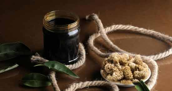 شیره توت برای رفلاکس معده ؛ فواید خوردن شیره توت برای درمان رفلاکس معده