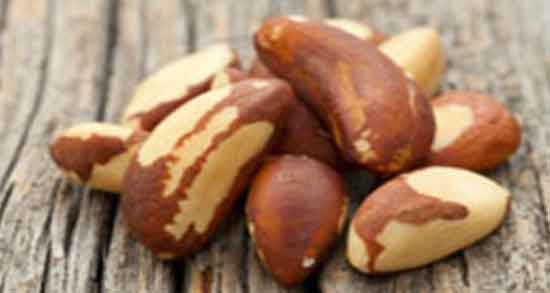 طبع بادام برزیلی ؛ آشنایی با خواص درمانی و طبع بادام برزیلی