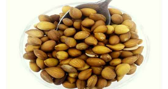 طبع بادام کوهی ؛ آشنایی با خواص درمانی و طبع بادام کوهی