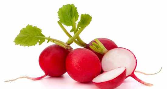 طبع تربچه گرم است یا سرد ؛ طبیعت تربچه گرم است یا سرد؟