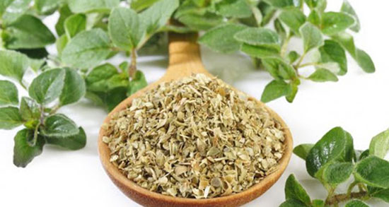 طبع دمنوش مرزنجوش ؛ ایا طبع دمنوش مرزنجوش از نظر طب سنتی گرمه