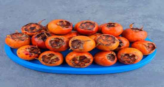 طبع رب ازگیل ؛ ایا طبع رب ازگیل از نظر طب سنتی برای بدن گرم است