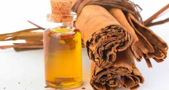 طبع روغن دارچین ؛ آشنایی با خواص درمانی و طبع روغن دارچین
