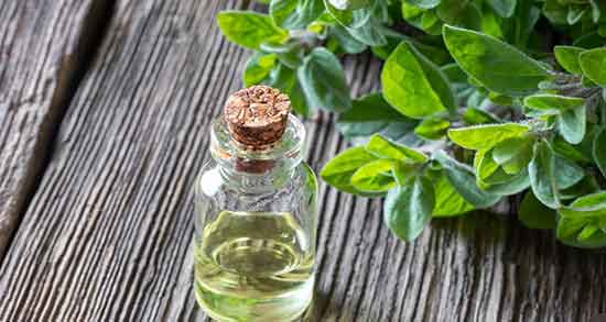 طبع روغن پونه کوهی و ایا طبع روغن پونه کوهی از نظر طب سنتی گرمه طبع روغن پونه کوهی ؛ ایا طبع روغن پونه کوهی از نظر طب سنتی گرمه