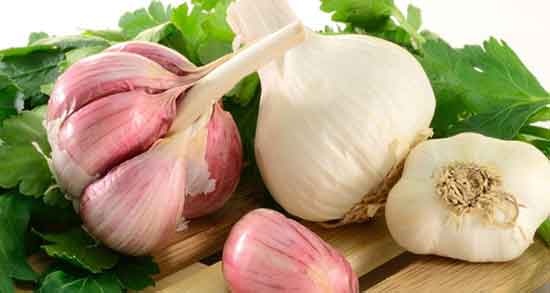 طبع سیر ترشی چیست ؛ ایا طبع سیر ترشی برای بدن سرد است یا گرم