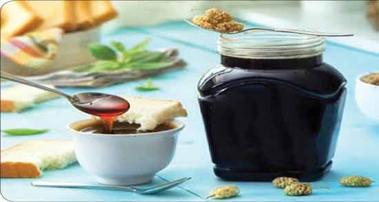 طبع شیره توت ؛ آشنایی با خواص درمانی و طبع شیره توت