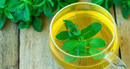 طبع عصاره نعناع ؛ آشنایی با خواص درمانی و طبع عصاره نعناع