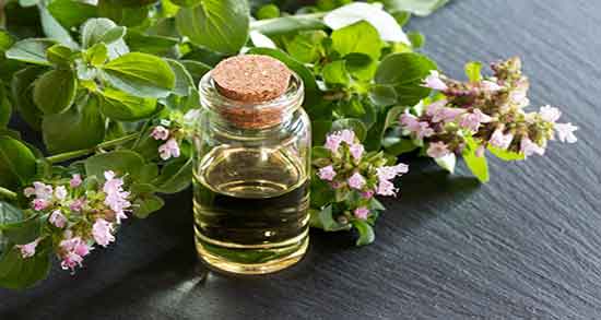 طرز استفاده از روغن پونه کوهی ؛ نحوه استفاده از روغن پونه کوهی چیست