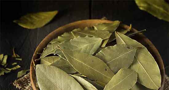 طرز استفاده برگ بو برای لاغری دستور استفاده از برگ بو برای چربی سوزی