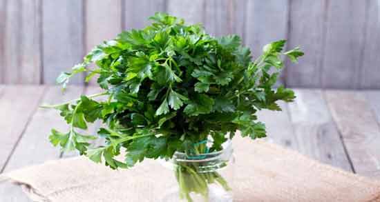 طرز تهیه آب گشنیز ؛ آموزش درست کردن آب گشنیز در منزل