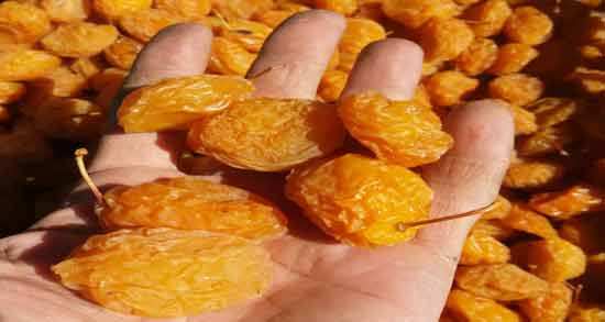 طرز تهیه آلو بخارا خیس ؛ آموزش درست کردن آلو بخارا خانگی