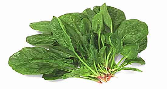طرز تهیه اسفناج خشک شده ؛ دستور تهیه اسفناج خشک شده چیست