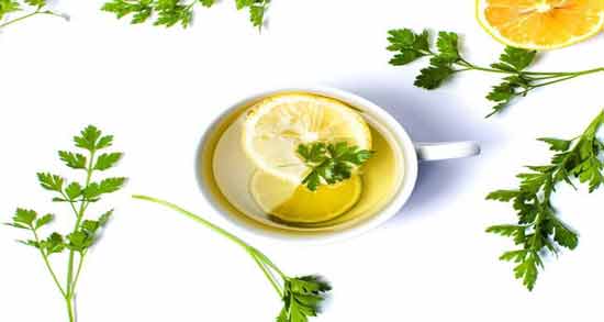 طرز تهیه جوشانده جعفری برای کلیه ؛ آموزش درست کردن جوشانده جعفری برای کلیه