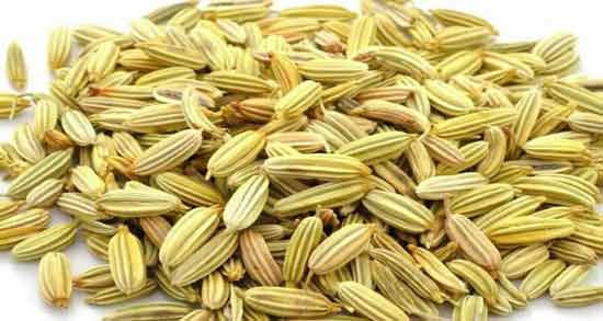 طرز تهیه خمیر رازیانه و آموزش درست کردن خمیر رازیانه در منزل