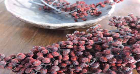 طرز تهیه دمنوش سماق نکوبیده ؛ آموزش درست کردن دمنوشی پر خاصیت با سماق نکوبیده