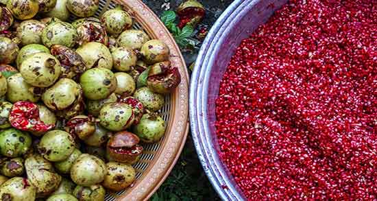 طرز تهیه رب انار ؛ دستور تهیه رب انار به روش خانگی + نحوه تهیه رب انار