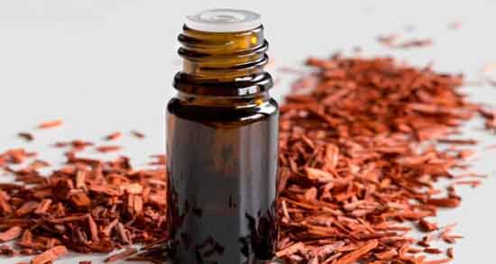 طرز تهیه روغن دارچین در طب سنتی ؛ نحوه صحیح تهیه روغن دارچین