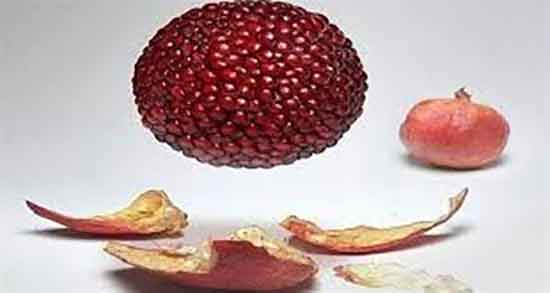طرز تهیه شربت رب انار و عسل ؛ ایا خوردن شربت انار با عسل ضرر دارد