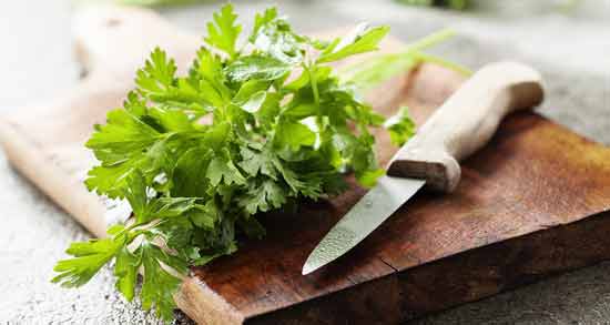 طرز تهیه عرق جعفری ؛ آموزش درست کردن عرق جعفری در منزل