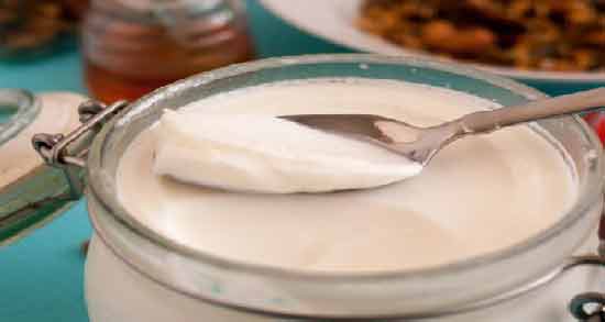 طرز تهیه ماست پروبیوتیک ؛ روشی ساده برای درست کردن ماست پروبیوتیک