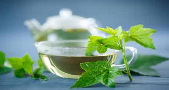 طرز تهیه چای برگ توت ؛ آموزش درست کردن چای برگ توت به روشی ساده