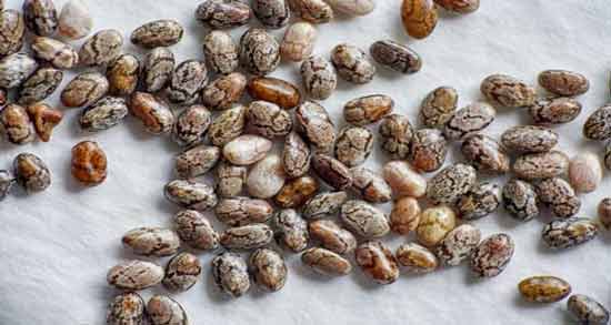 طرز مصرف دانه چیا برای یبوست و روش استفاده از دانه چیا برای درمان یبوست طرز مصرف دانه چیا برای یبوست ؛ روش استفاده از دانه چیا برای درمان یبوست