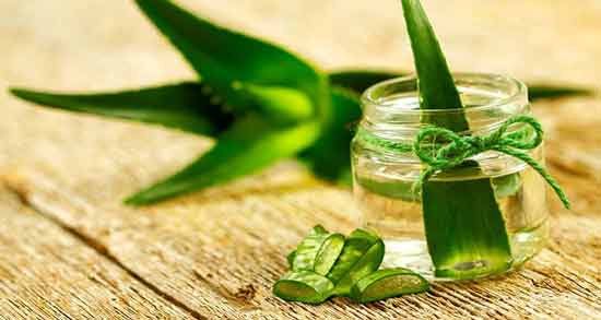 طریقه مصرف آلوئه ورا برای مو ؛ روش استفاده از آلوئه ورا برای سلامت مو