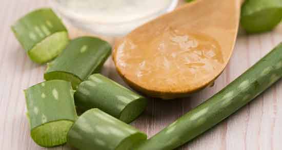 طریقه مصرف آلوئه ورا برای پوست خشک ؛ درمان خشکی پوست با استفاده از آلوئه ورا