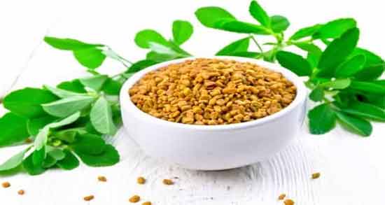 طریقه مصرف برگ شنبلیله ؛ نحوه صحیح استفاده از برگ شنبلیله