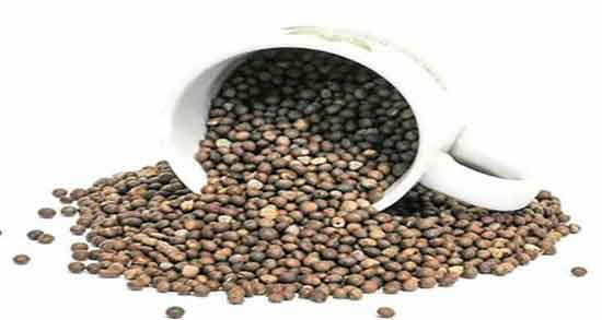 طریقه مصرف گاودانه ؛ دستور استفاده از گیاه گاودانه چگونه است